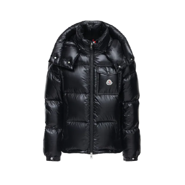 Moncler Montbeliard Down Jacket